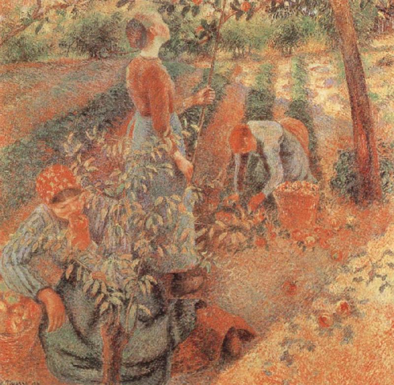 Camille Pissarro Apple picking Norge oil painting art